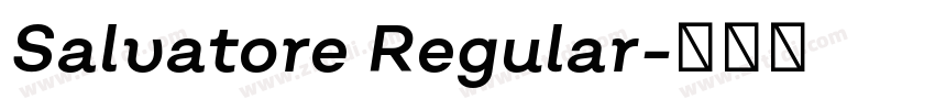 Salvatore Regular字体转换